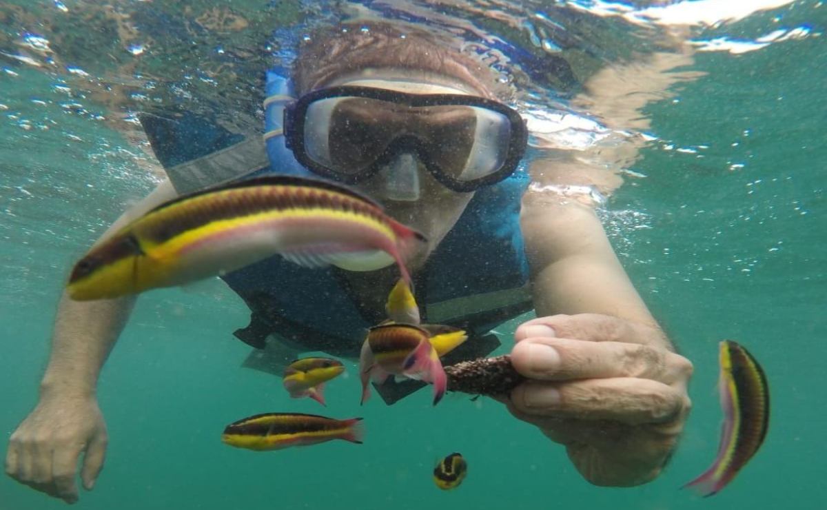 Cancún se posiciona como destino de buceo en el Scuba Show 2023 en California