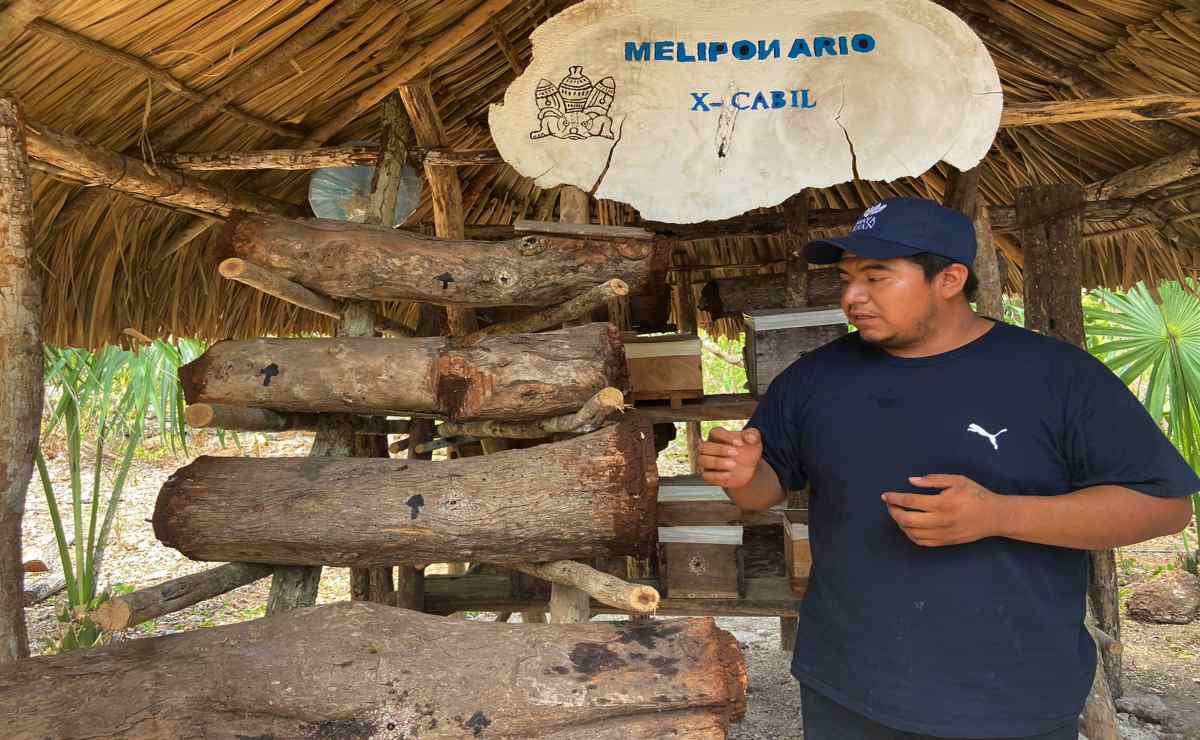 Impulso al turismo sustentable en el Mundo Maya: Maya Ka’an